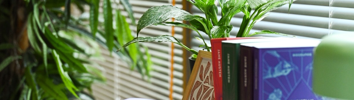 Bücherregal im BL:OOM – BloggerRoom der Leipziger Buchmesse 2025