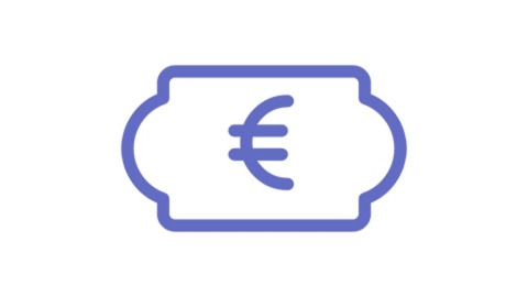 Euro Icon